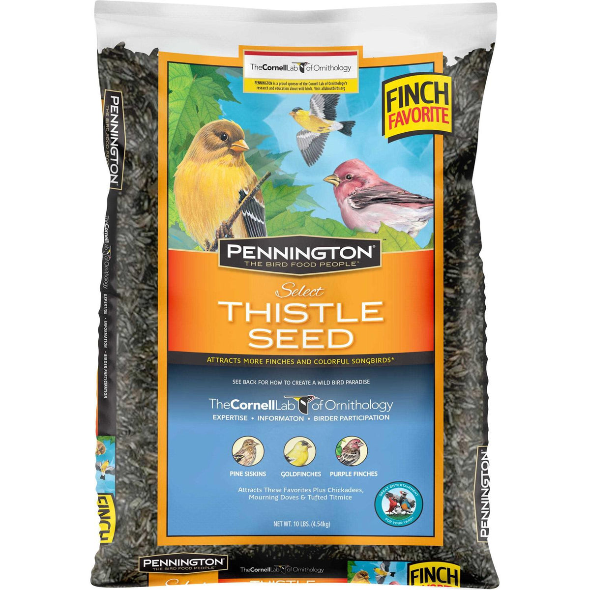 Thistle Seed A67713