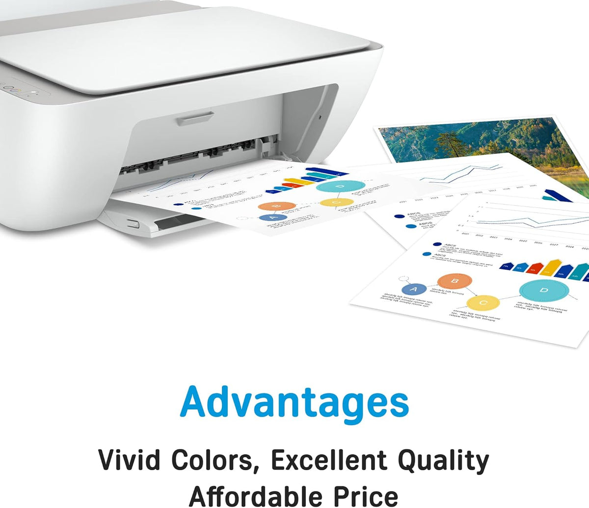 Remanufactured Ink Cartridge Replacement 2 Pack L710219
