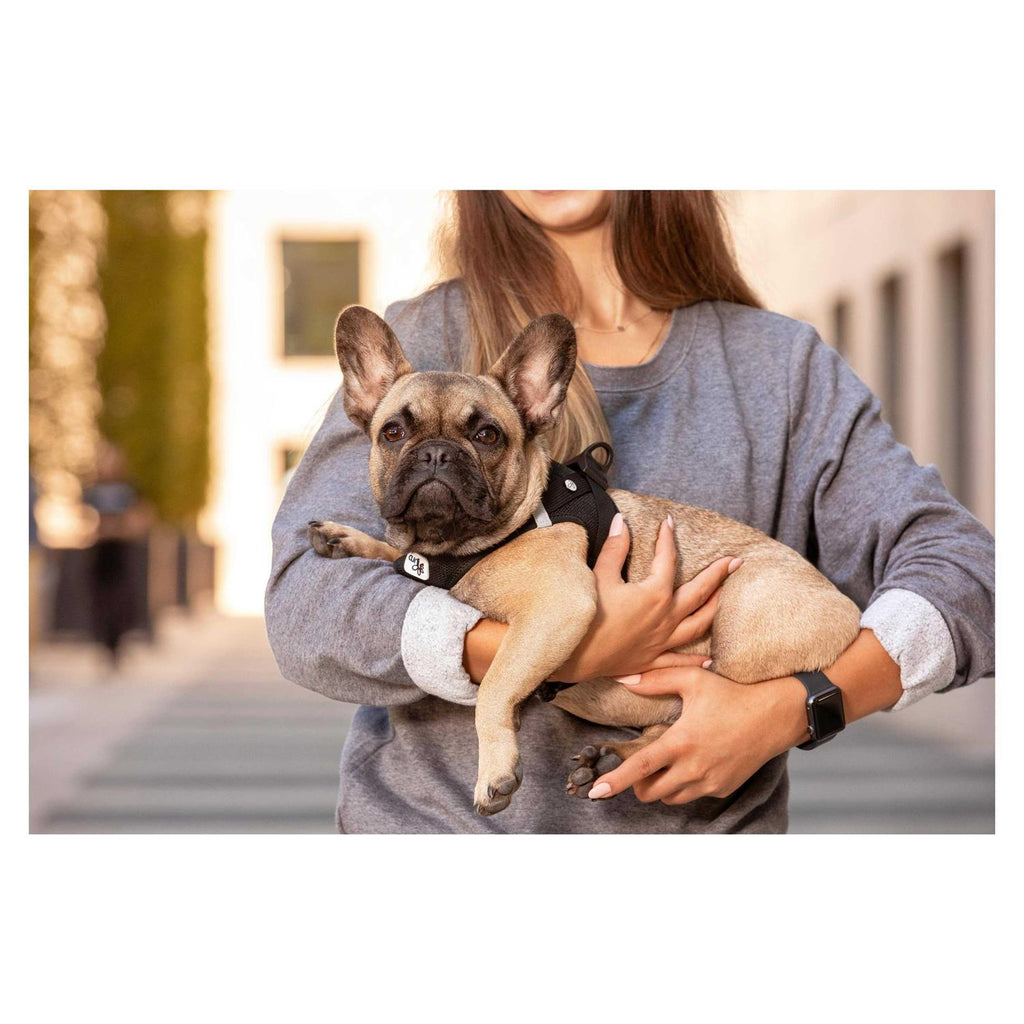 Air-Mesh Dog Harness P180