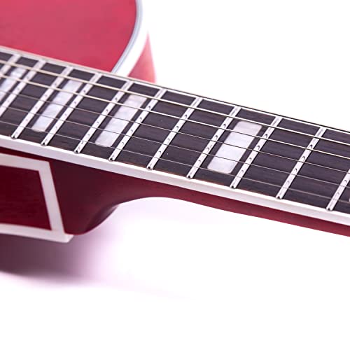 Semi-Hollow Body Electric Guitar Matte Finished with Gigbag P60698