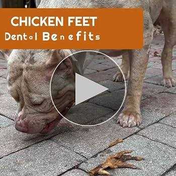 Chicken Feet Dog Treats G850