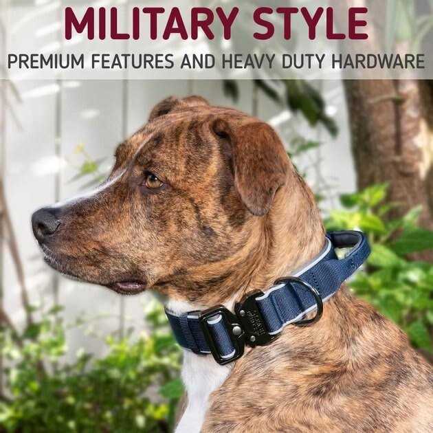 Heavy-Duty Adjustable Dog Collar with Handle C129813