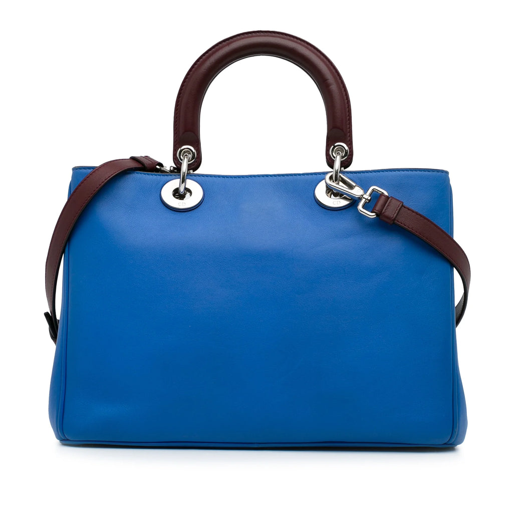 Pre-Owned Blue Embroidered Calf Leather Satchel V3694