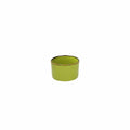 Green Small Tumbler N48776