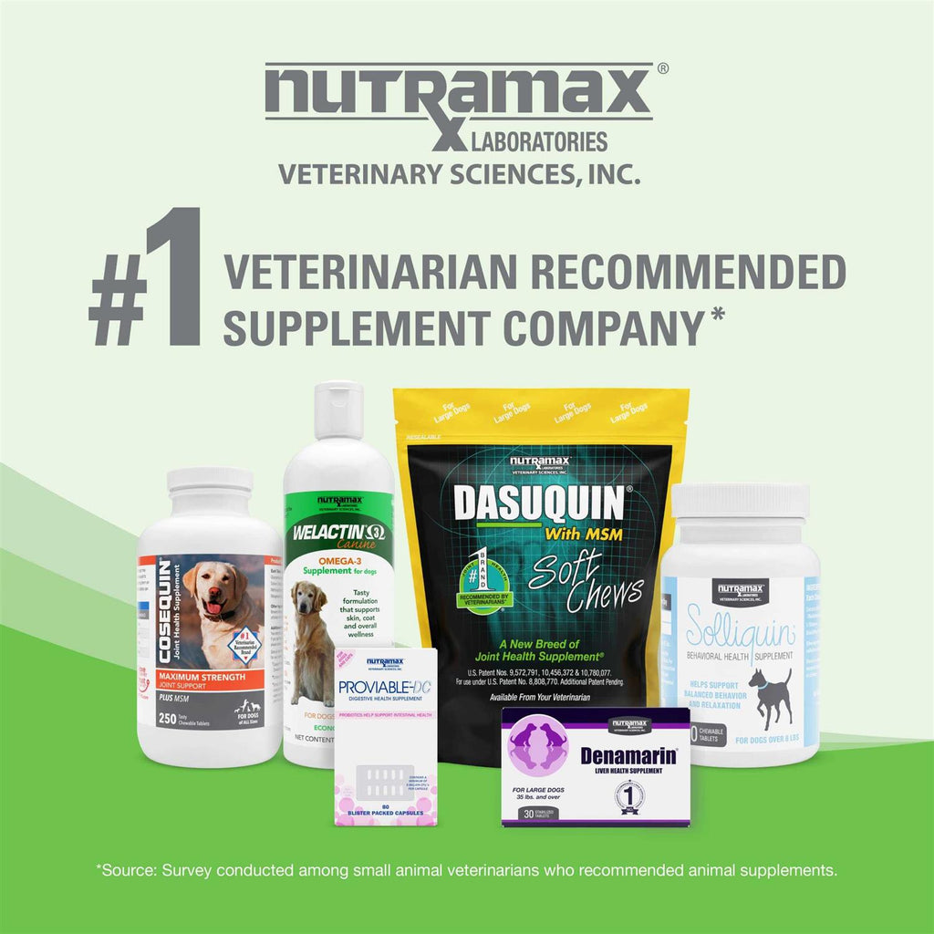Dermaquin Skin Support Dogs 60 ct E117