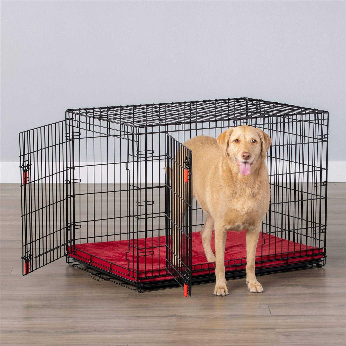 Double Door Wire Dog Crate with Divider Panel F933954