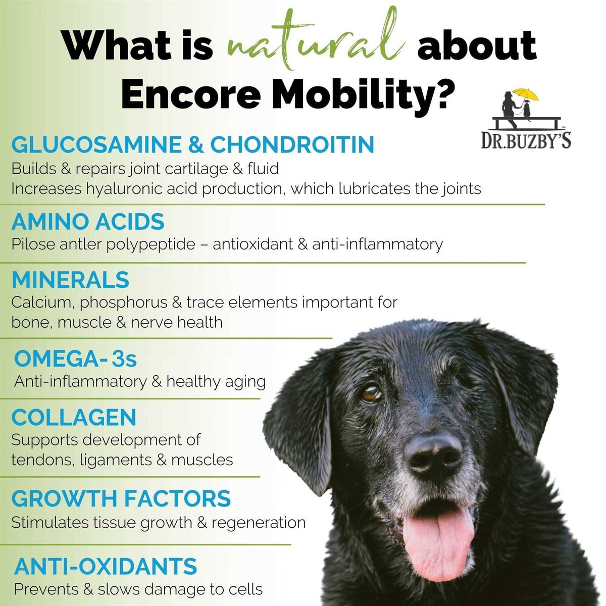 90 Chewable Tablets Hip & Joint Supplement for Senior Dogs L472