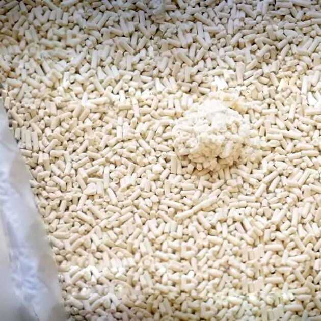 Clumping Corn Cat Litter P670020