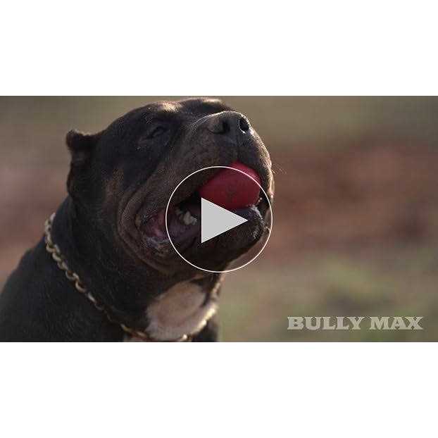 Dog Ball Toy for Aggressive Chewers I91542