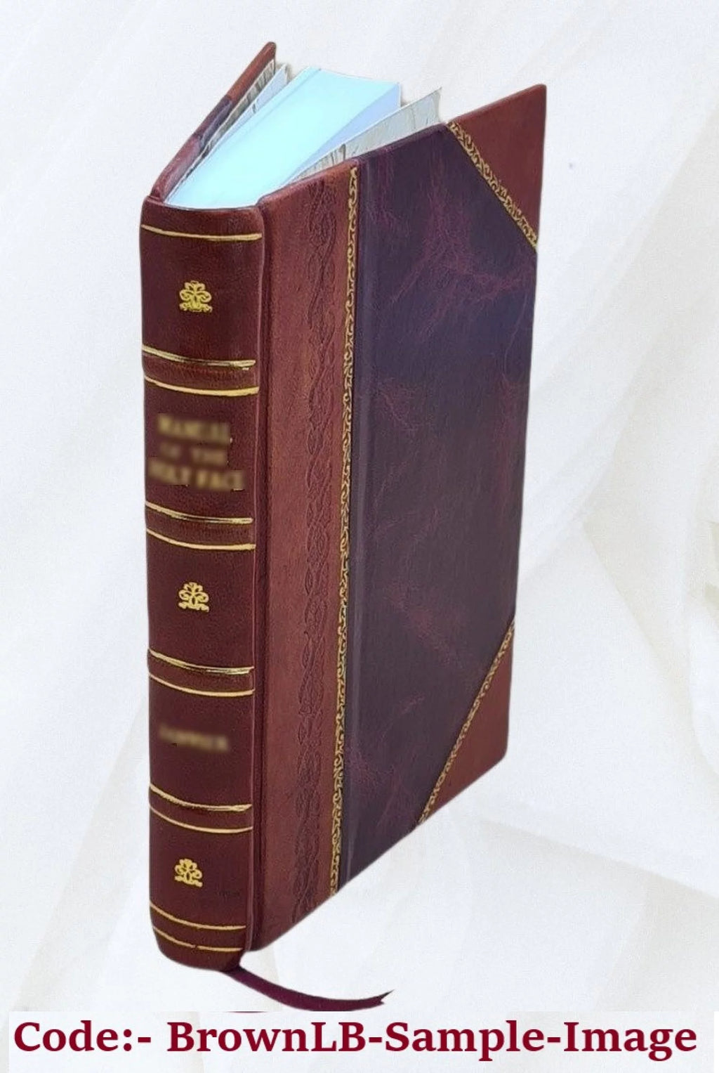 Lettres de Madame Roland Q18895