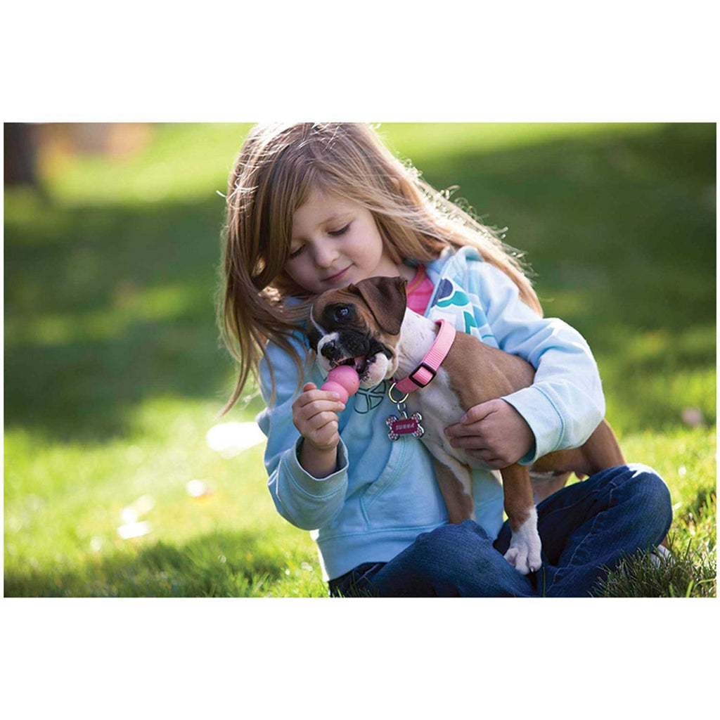 Puppy Toy I793327