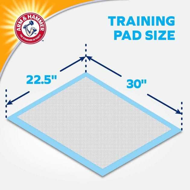 XL Super Absorbent Training Pads U8374