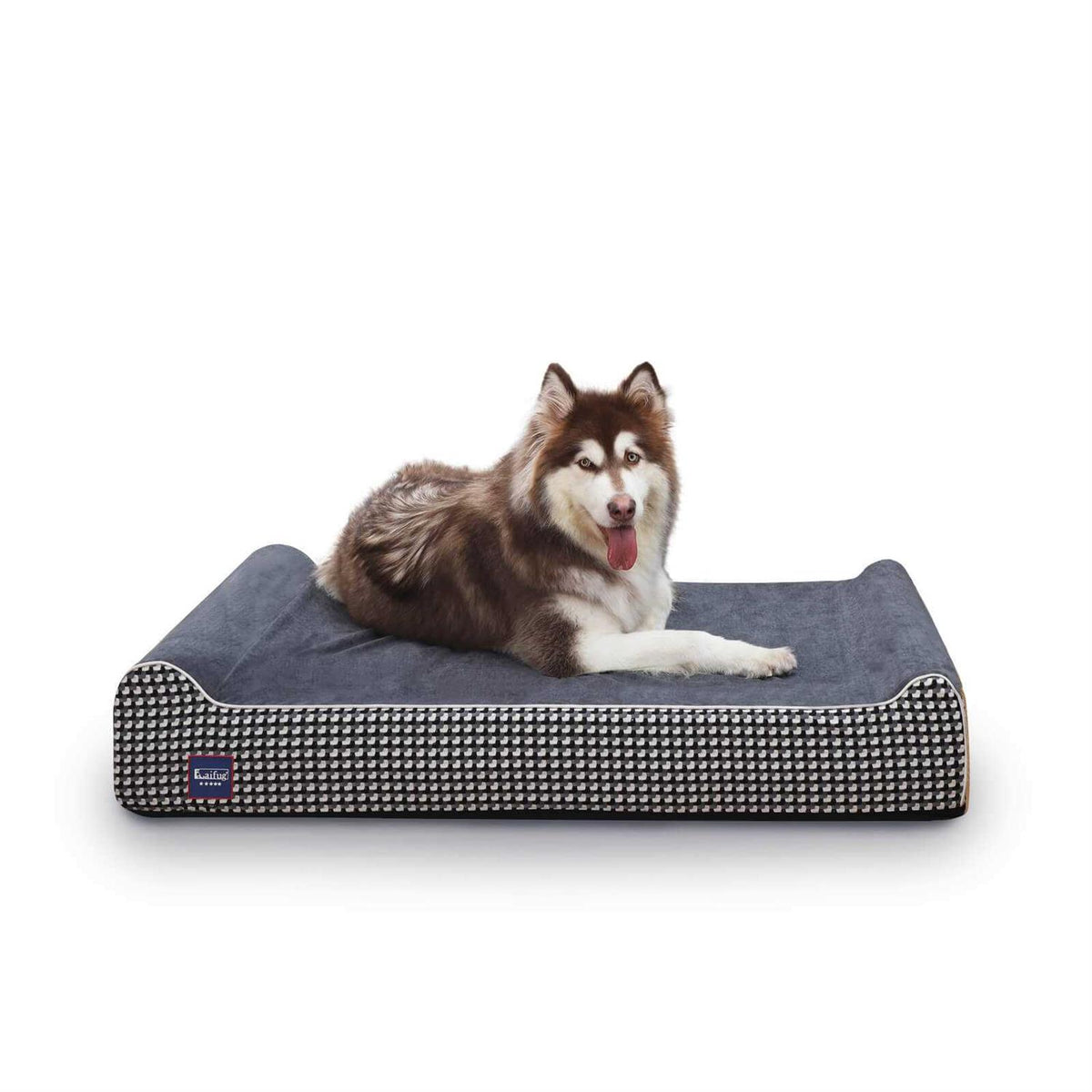 Large Orthopedic Memory Foam Dog Bed K947501
