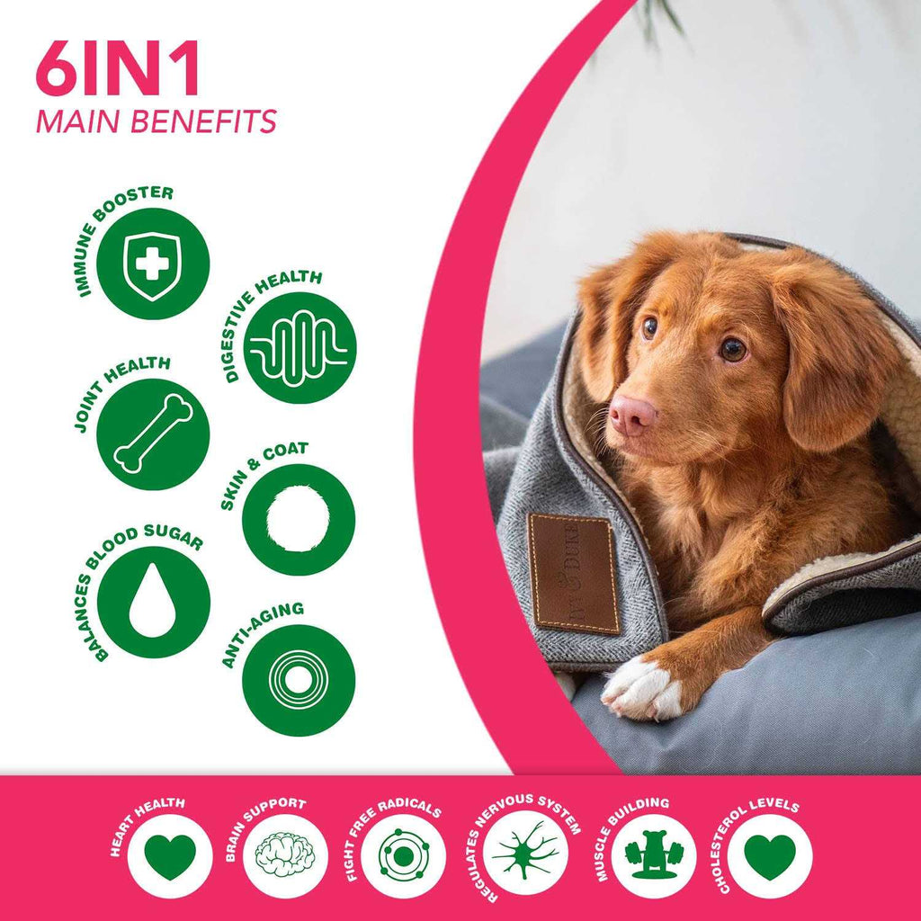 Multivitamin Superfood Dog Supplement C378496