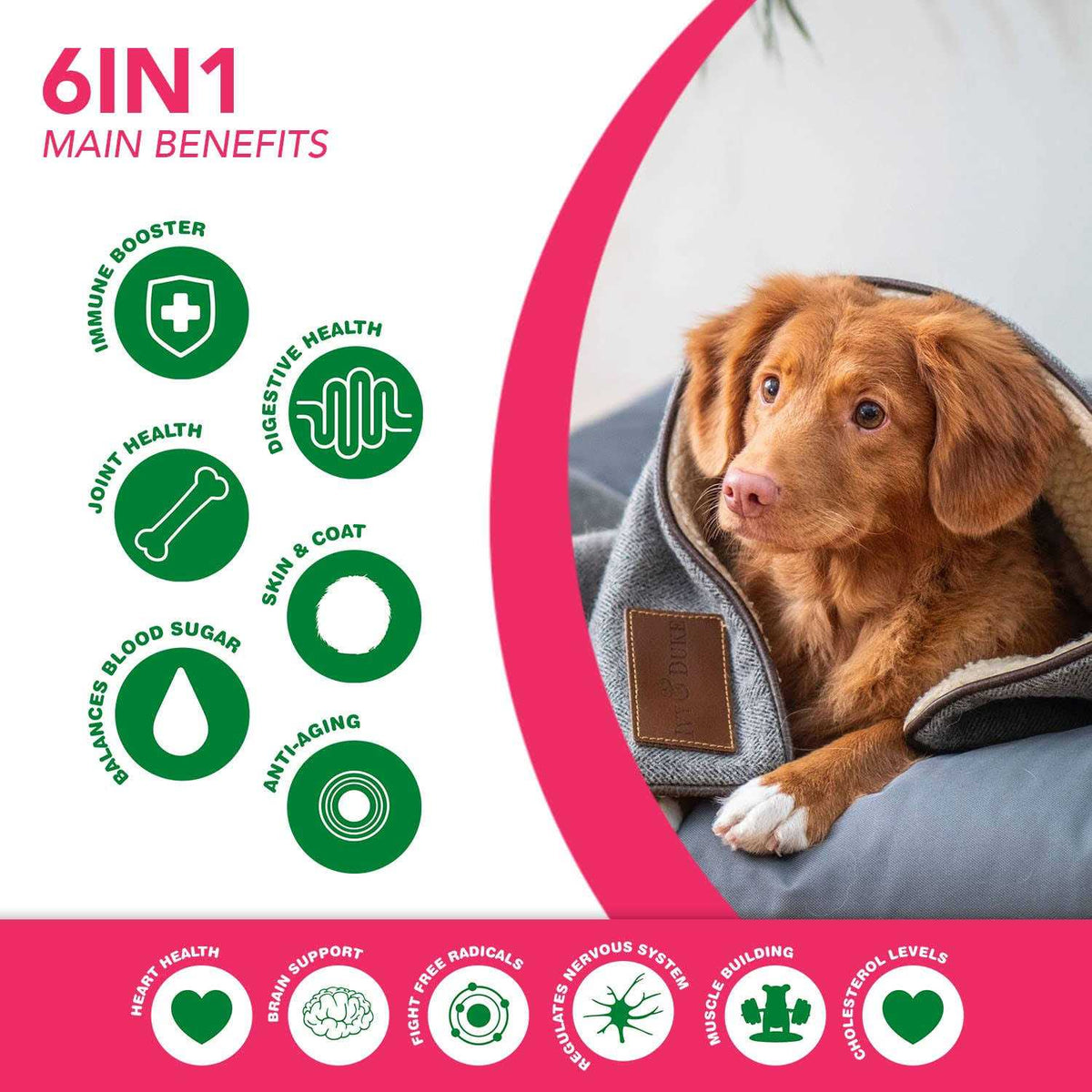 Multivitamin Superfood Dog Supplement C378496