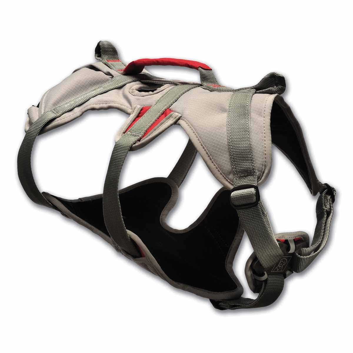 Doubleback Harness N22753