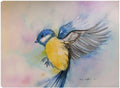 Canvas Art 32x24 P671