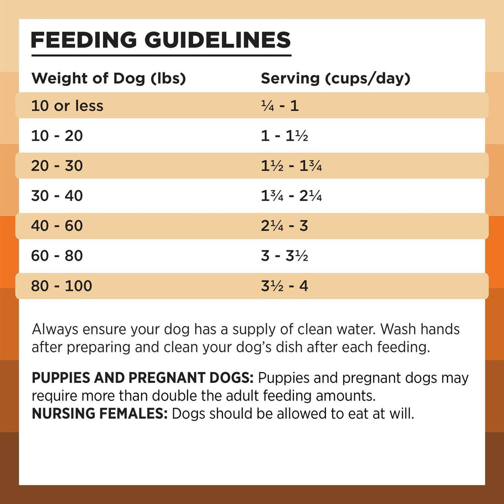Chicken Recipe Dry Dog Food M300