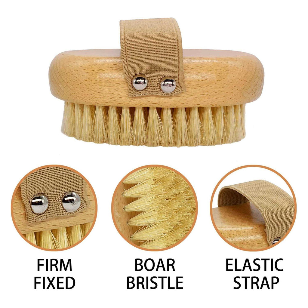 Soft Bristle Dog Brush with Elastic Band U877089