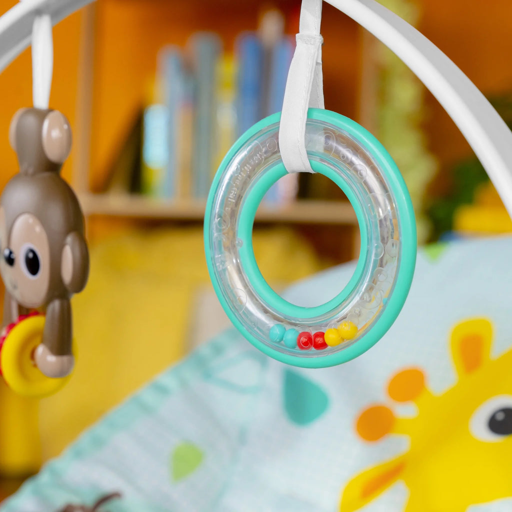 Infant to Toddler Rocker with Vibrations B56610