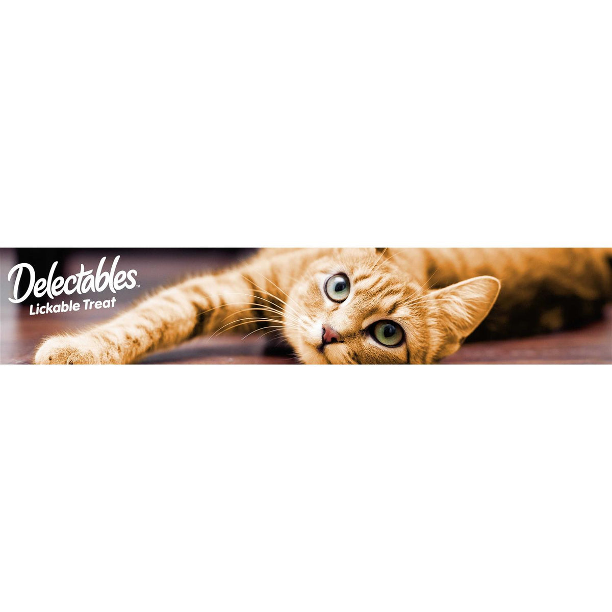 Lickable Cat E9577