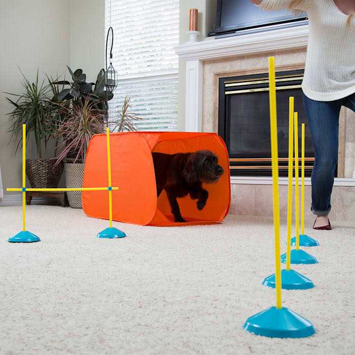 Indoor Dog Agility Kit G688