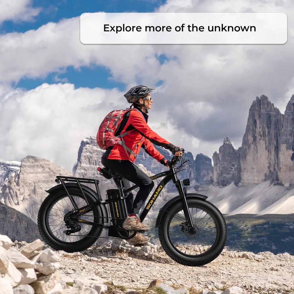 750W 48V 15Ah Fat Tire Electric Mountain Bike A31393