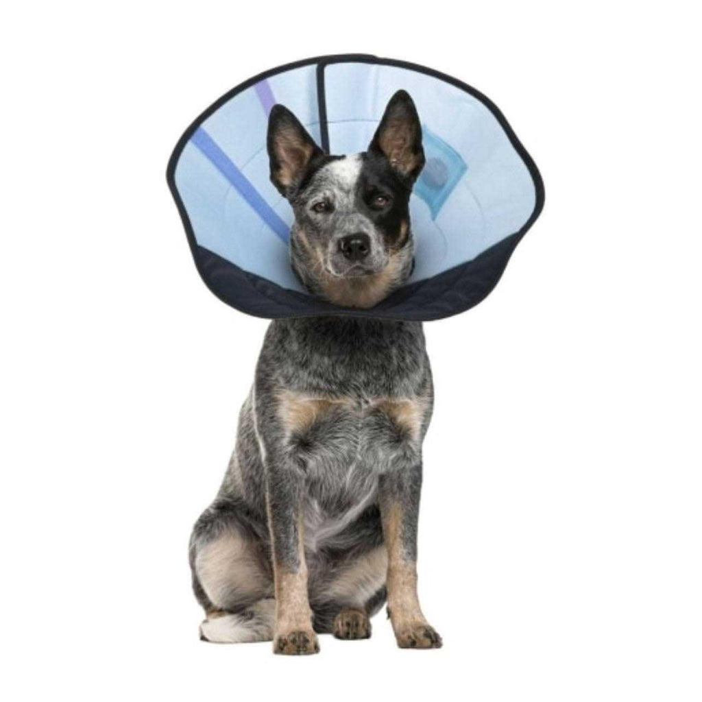 Dog Calming Collar V45749