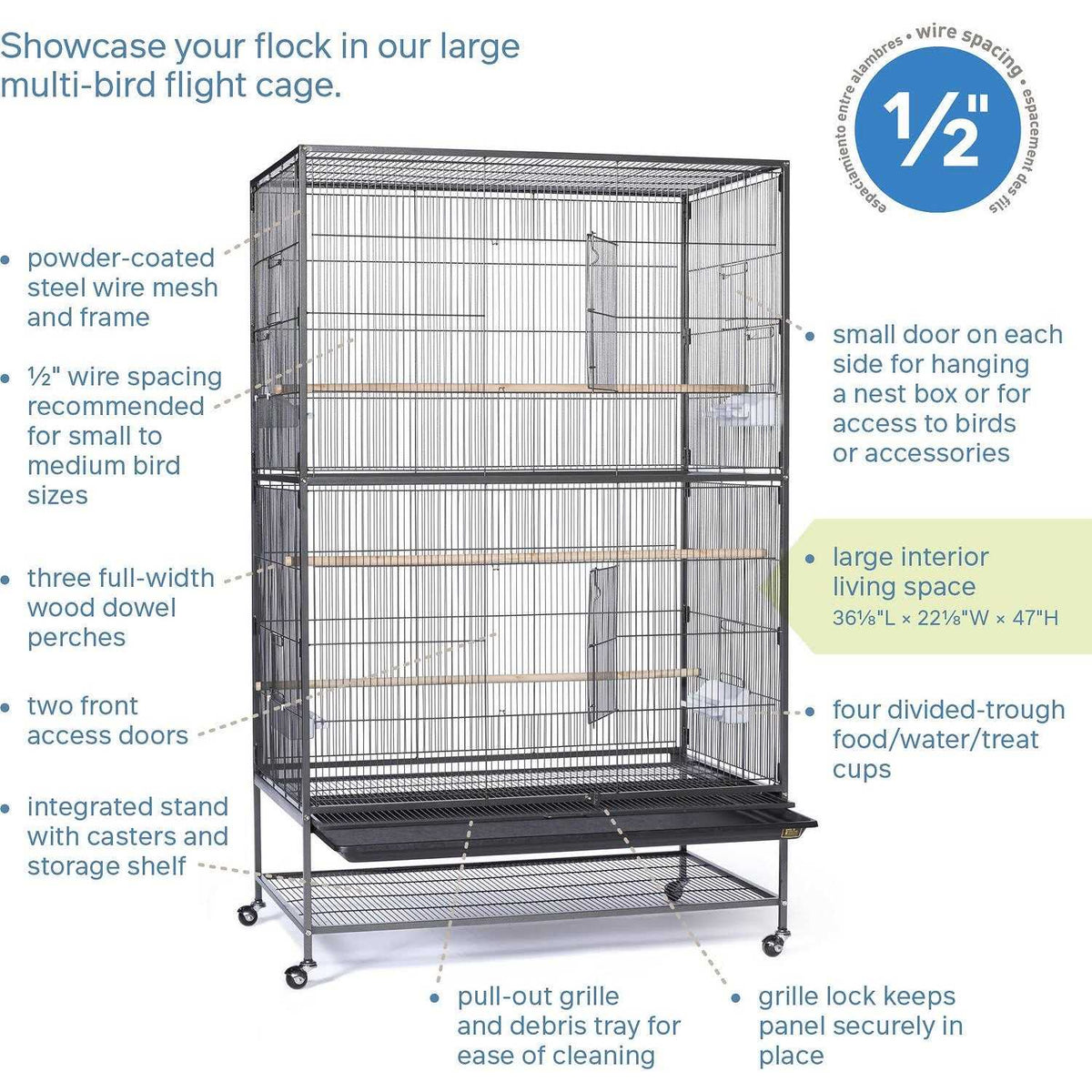 Bird Cage V142112