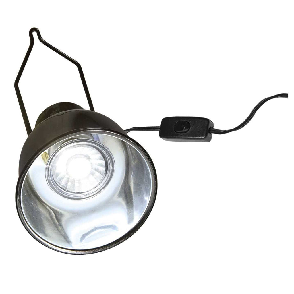Dome Lamp Fixture B33890