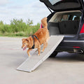 Tri-Fold Travel Dog Car Ramp D284804