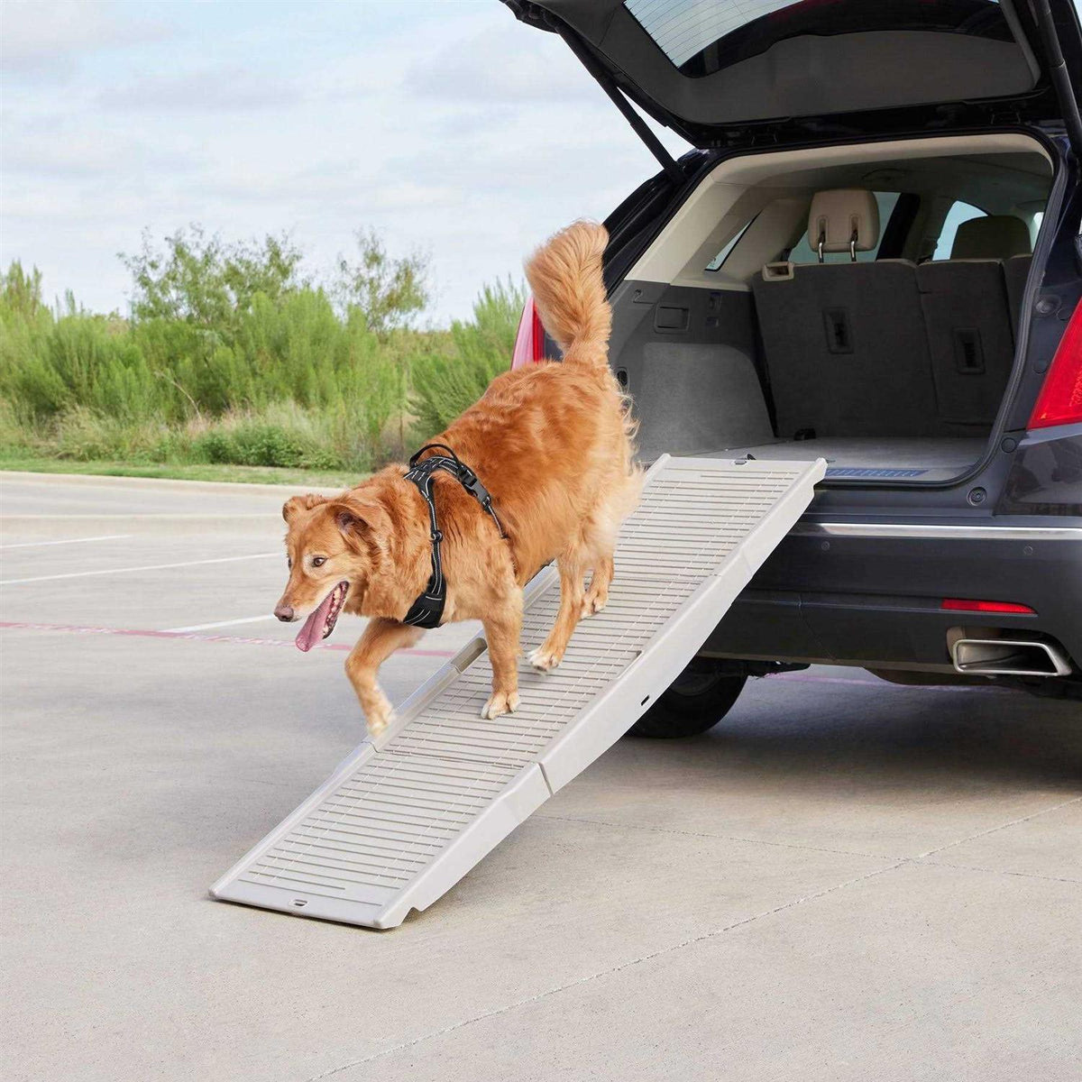Tri-Fold Travel Dog Car Ramp D284804