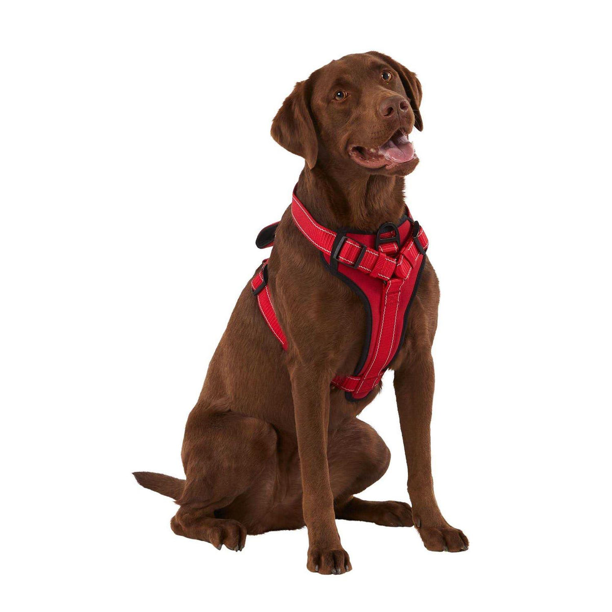 Neoprene Padded Dog Harness Y57029