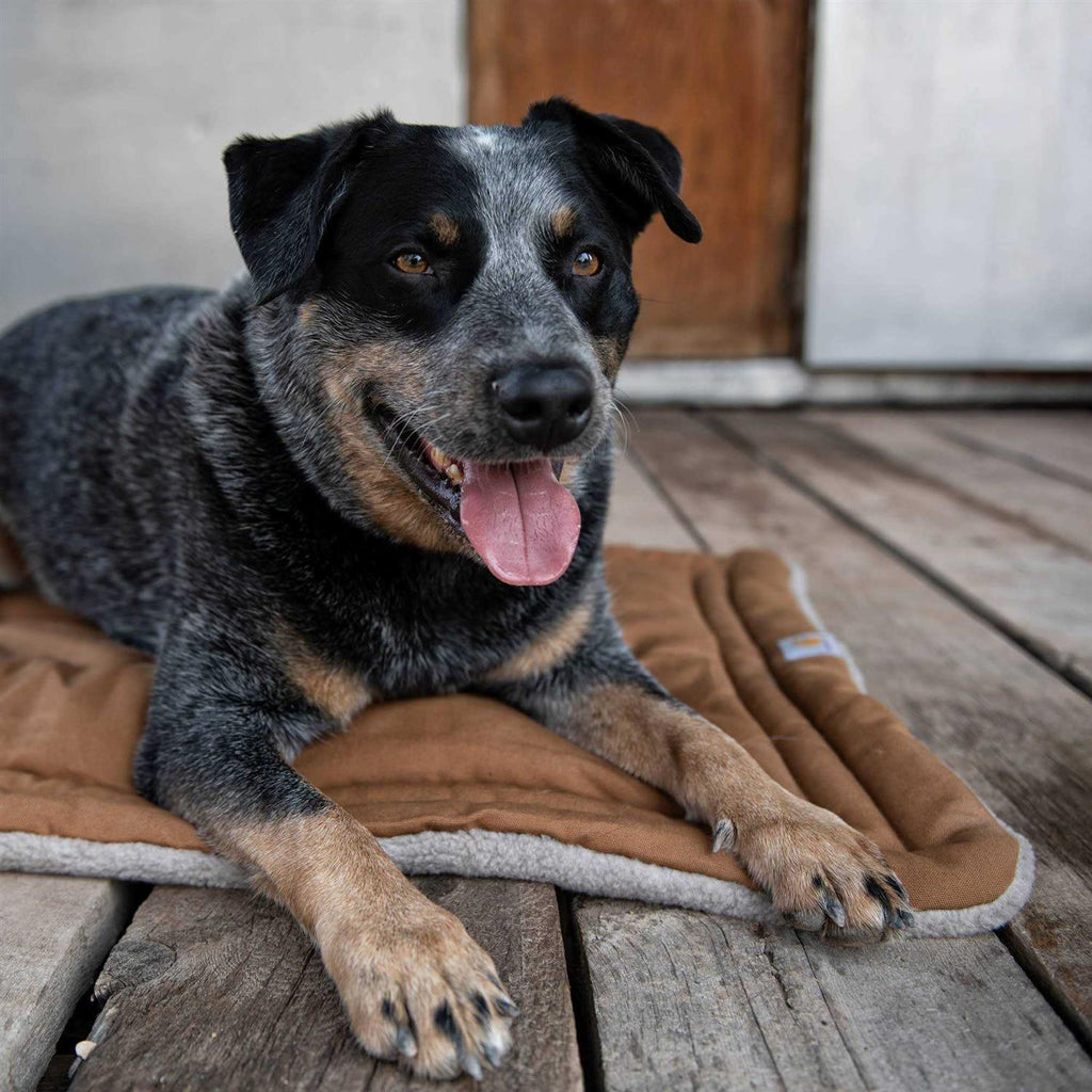 Dog Pad N8750