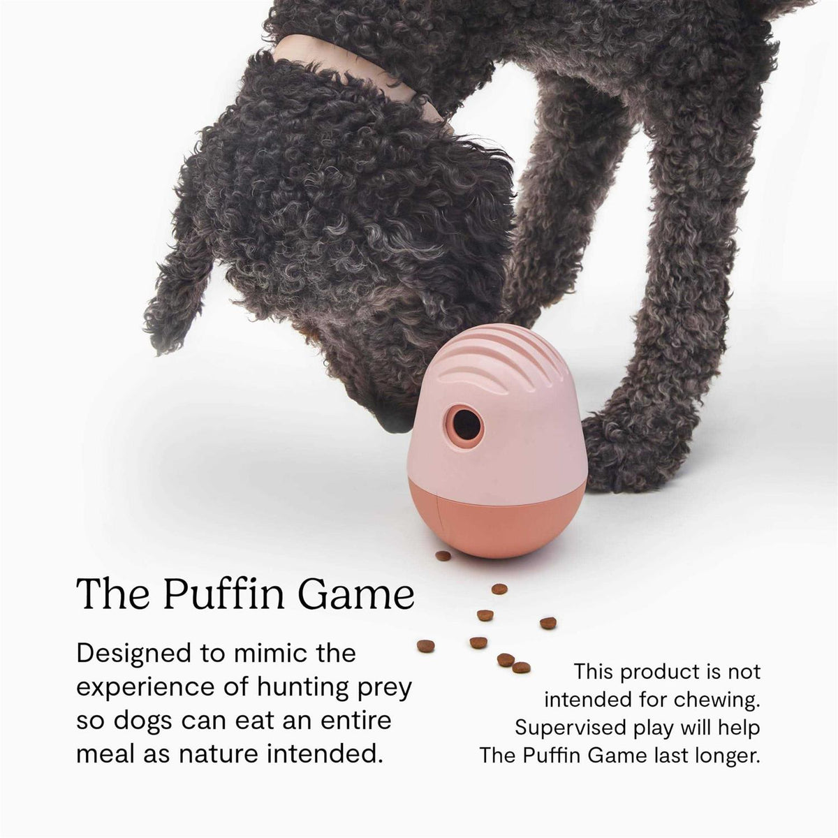 Dog Toy S43463