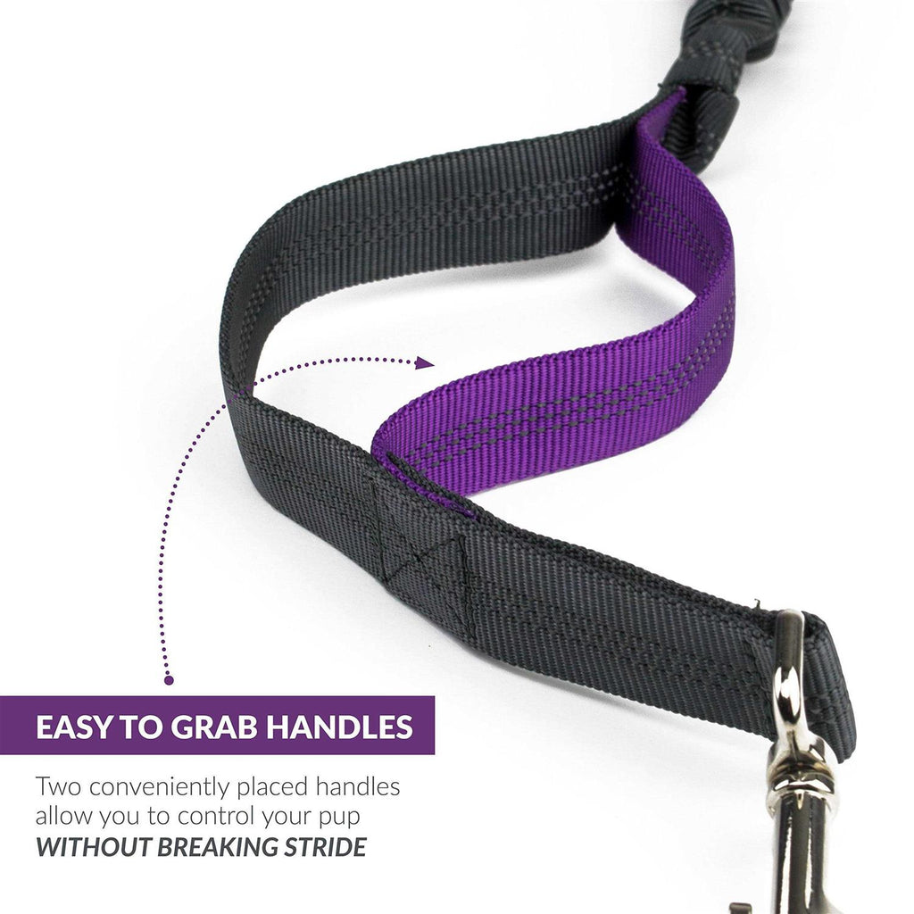 Hands Free Dog Leash C4308