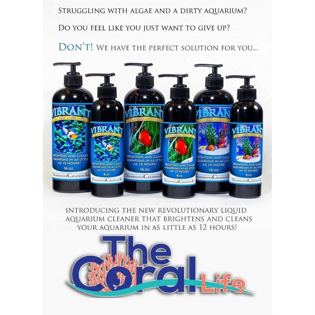 Saltwater Aquariums A85560