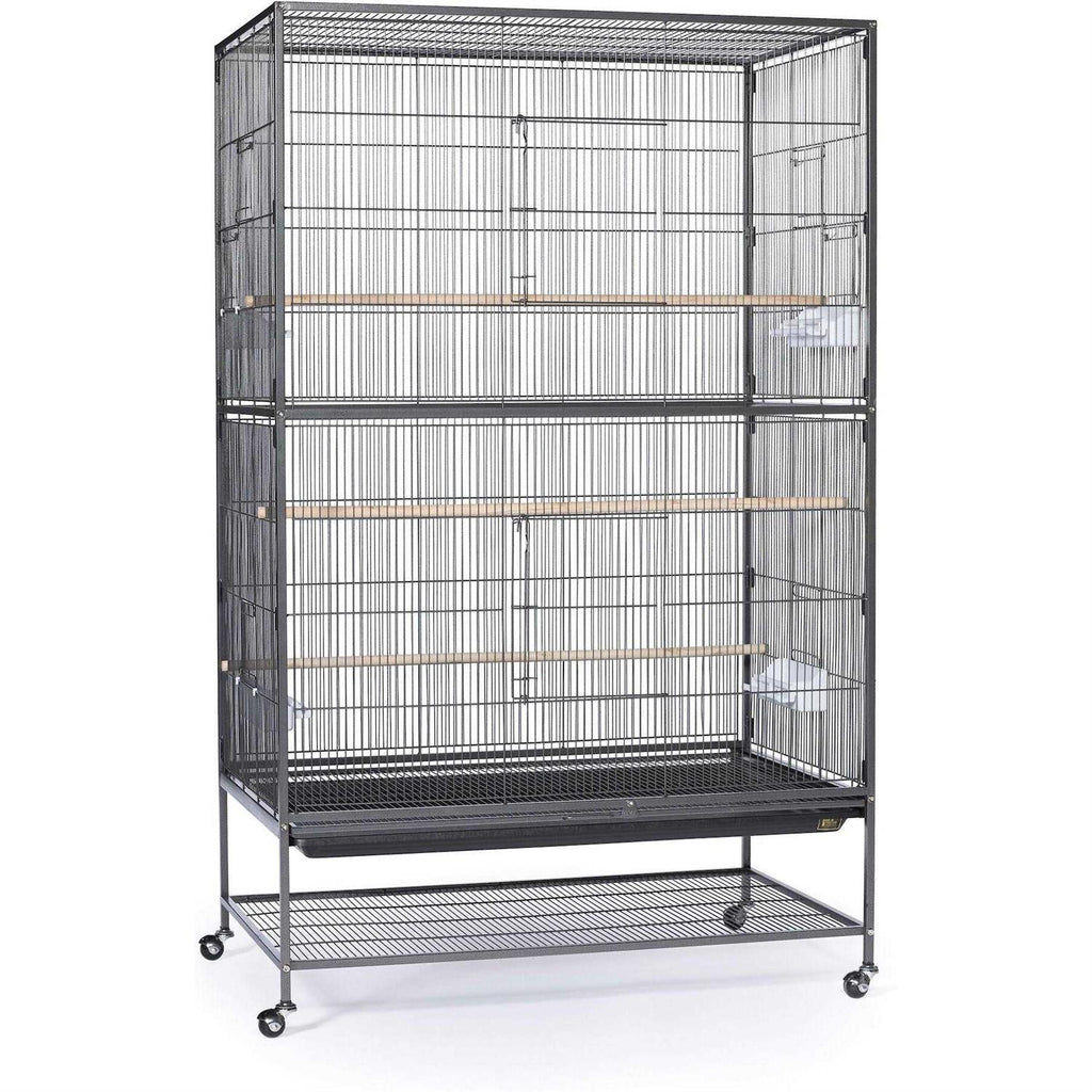 Bird Cage V142112