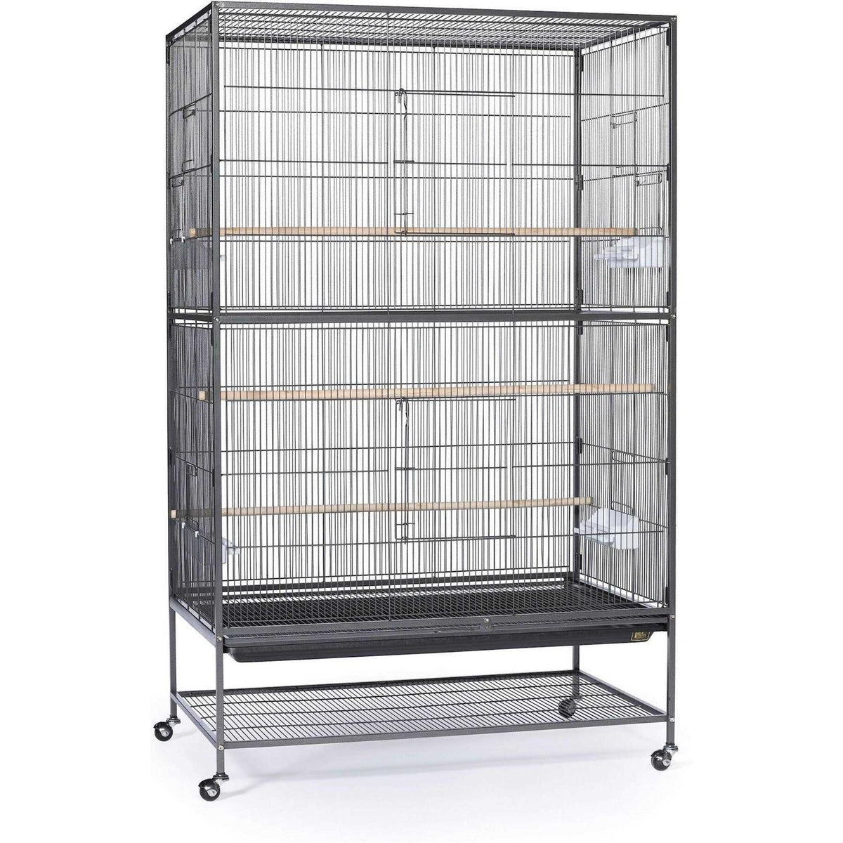 Bird Cage V142112