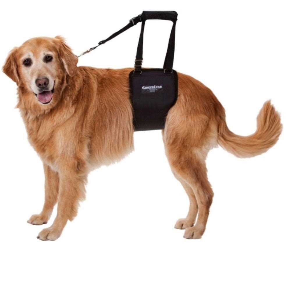 Dog Support Rehabilitation Harness V701267