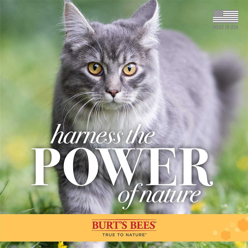Tearless Shampoo for Kittens with Buttermilk U46242