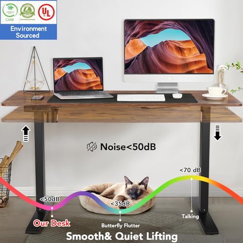 Electric Standing Desk 55 x 24In with Charging Station Y63443