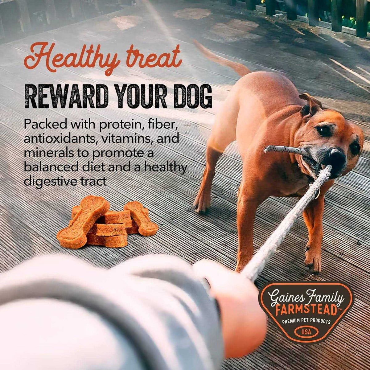 Sweet Potato Dog Bones B8467