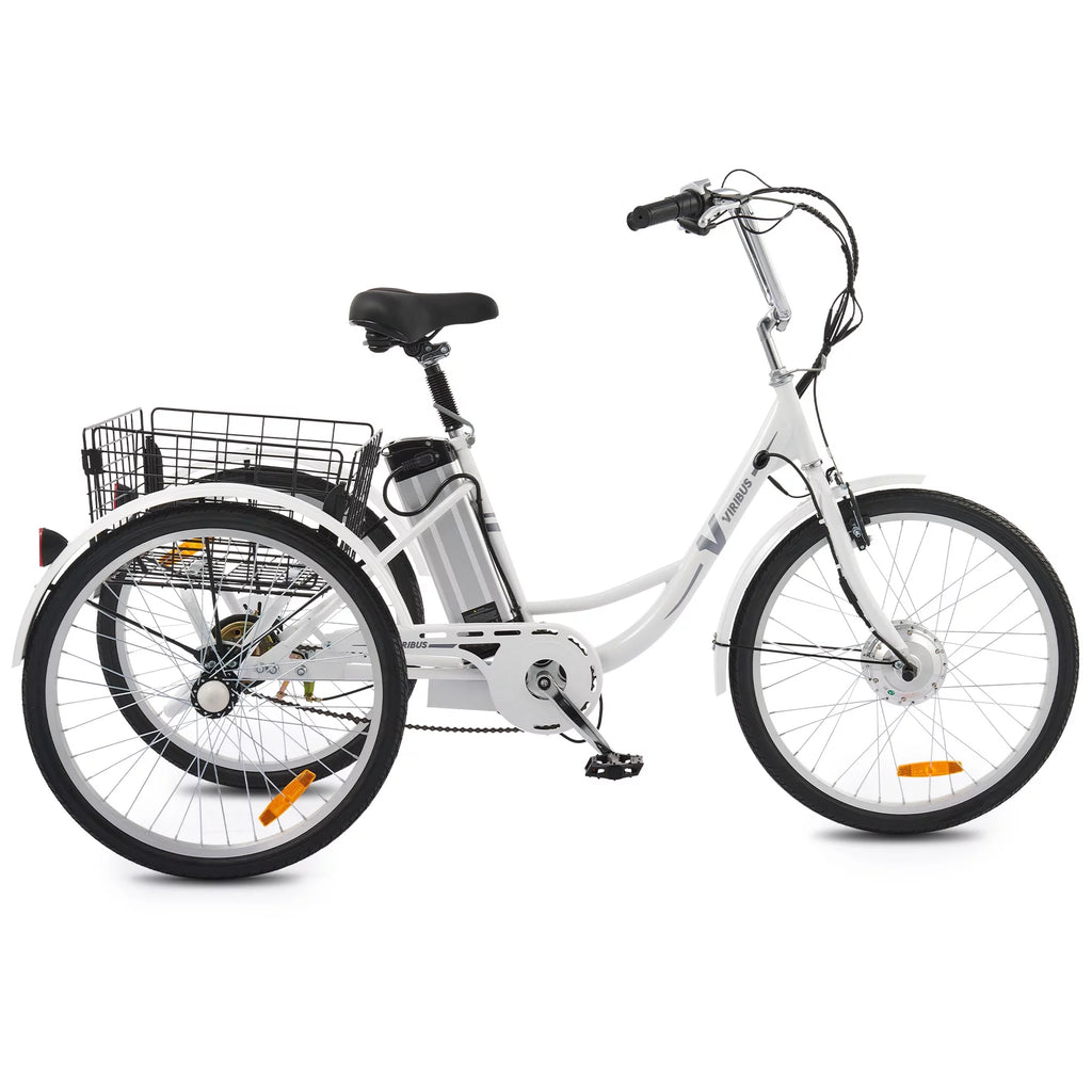 Electric Tricycle 3 Wheel 250W Black G1243