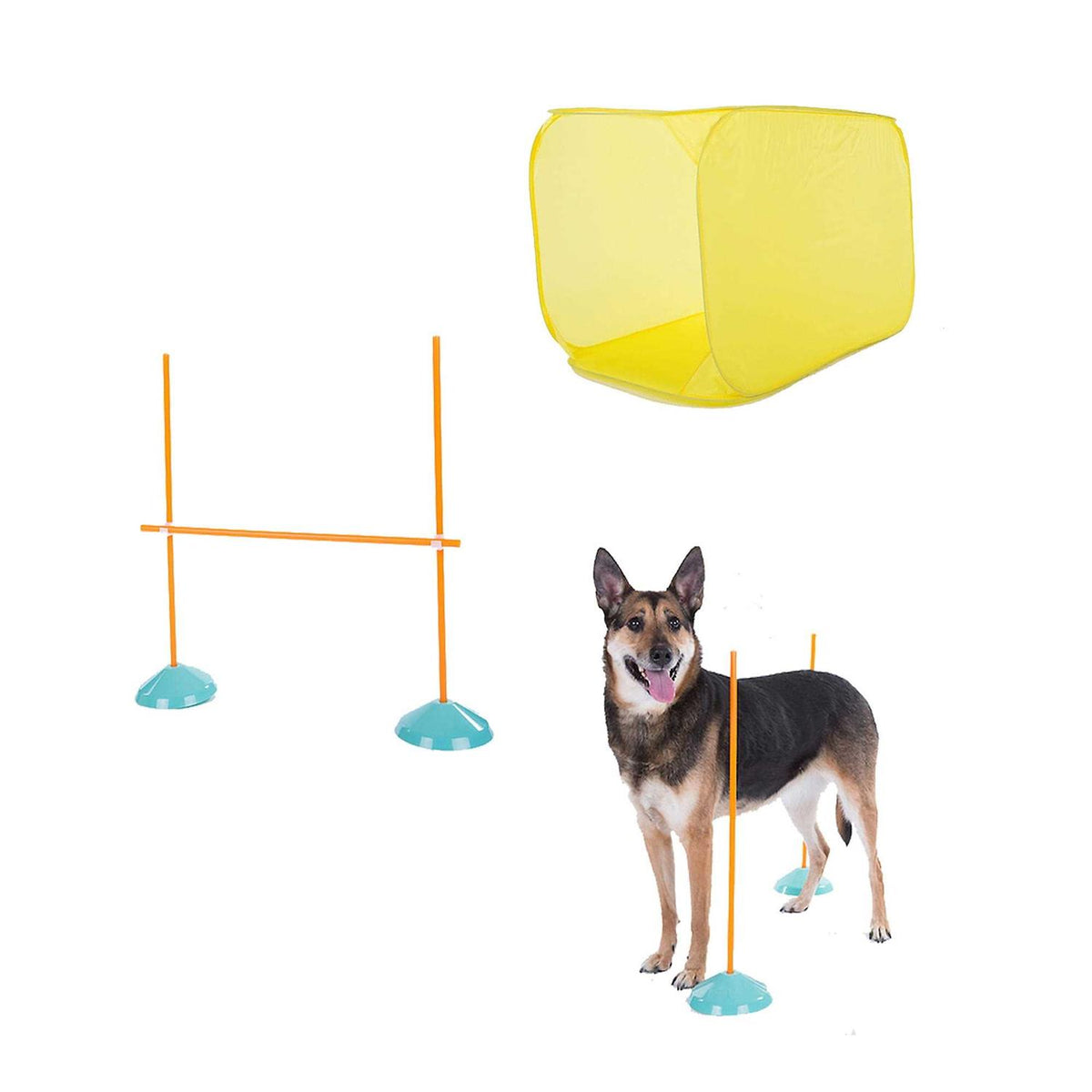 Indoor Dog Agility Kit G688