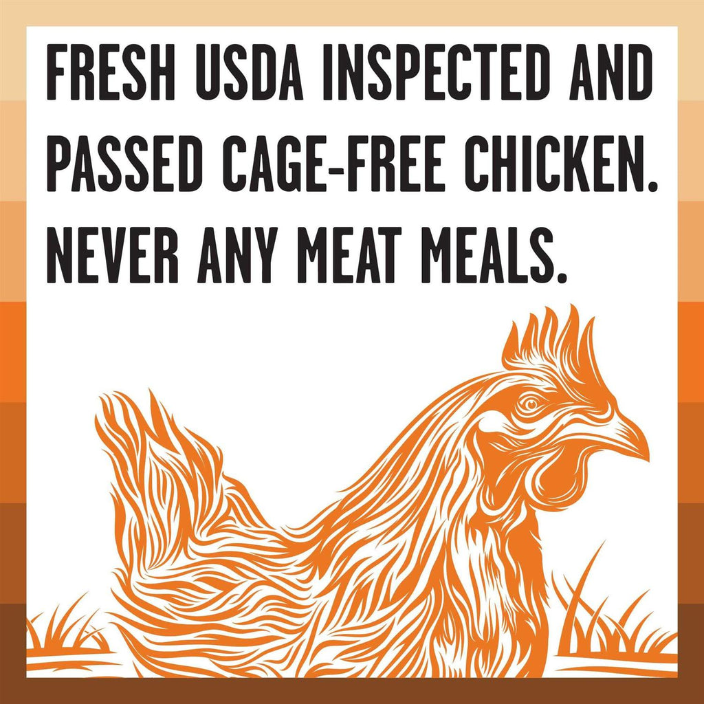 Chicken Recipe Dry Dog Food M300