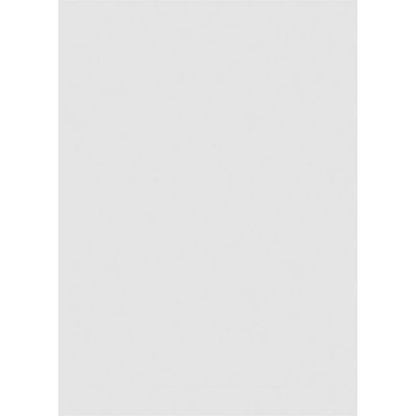 PVC Vertical Surface Mount Gable Vent N24503
