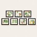 Botanical Art G6920