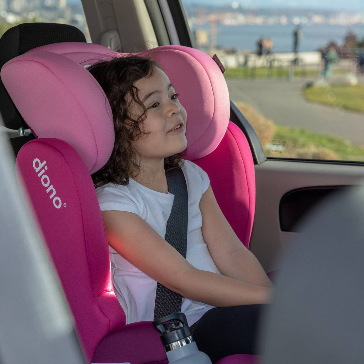 Pink Booster Seat F149717