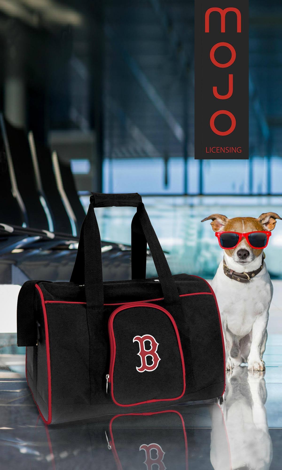 Premium Pet Carrier S4692